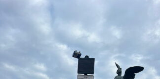 Chioggia, primo giorno Ztl: in calo gli accessi non autorizzati ZTL Chioggia, uno dei varchi