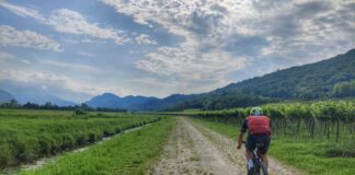 Gravel a Treviso: il 14 gennaio sarà presentata la seconda edizione della GRAVEL4FUN 2024 gravel4fun_2024