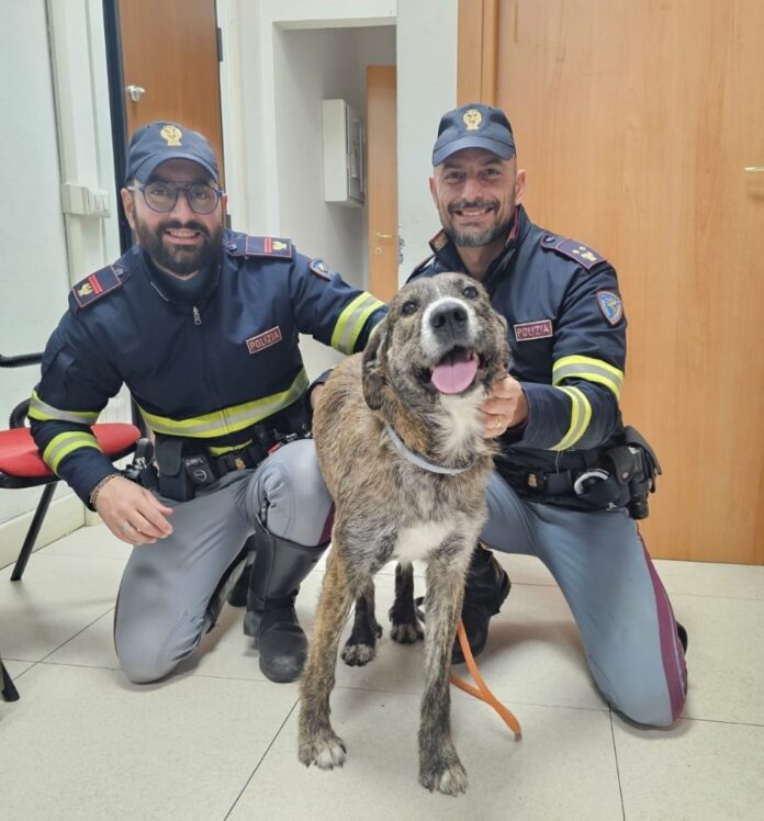 Dante, il cane meticcio insieme ai suoi salvatori della Polizia di Strada di Venezia