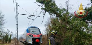 Vento forte, cade albero sulla linea ferroviaria Venezia-Bassano. Palo della luce pericolante in Tangenziale L'albero caduto sulla linea ferroviaria Venezia-Bassano