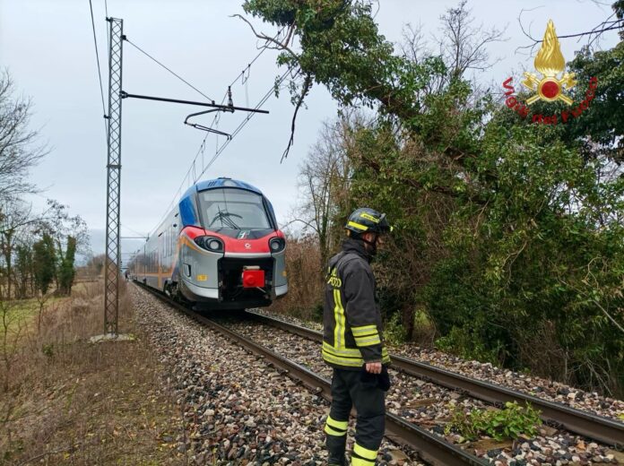 L'albero caduto sulla linea ferroviaria Venezia-Bassano