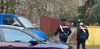 Parco “Nuove Gemme” di Spinea, intensificati i controlli dei Carabinieri. Un arresto per spaccio Parco "Nuove Gemme" di Spinea, i controlli dei Carabinieri