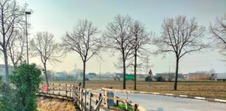 Dese, al via i lavori sulla passerella pedonale tra via Pialoi e via Altinia La passerella pedonale in legno tra via Pialoi e via Altinia a Dese