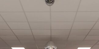 Vedelago ha finalmente un nuovo centro ricreativo