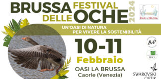 IDEE WEEK END Notizie plus_weeknd