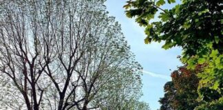 Via alla variante “Edifici incongrui”: crediti a chi demolisce una proprietà obsoleta