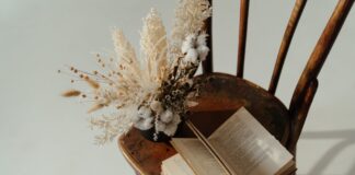 Nuove frontiere della biblioterapia: «A Verona Curiamo leggendo Harry Potter»