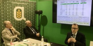 Export agroalimentare, Verona conquista la prima piazza