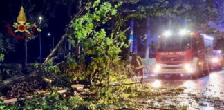Maltempo autunnale, 137 milioni di danni stimati in Veneto. Zaia scrive a Meloni