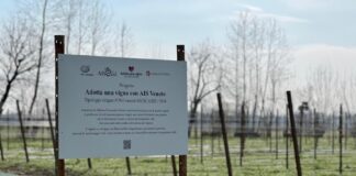 “Adotta una Vigna” al via alla Casa di Anna Adotta una Vigna