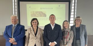 1° Osservatorio sul Terziario del 2024: tutti i dati con focus su saldi e imprese femminili