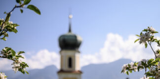 LANA IN FIORE lana in fiore