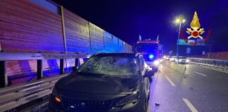 Tangenziale di Mestre, un albero cade su un’auto: illesi i passeggeri L’auto colpita dall’albero in Tangenziale di Mestre
