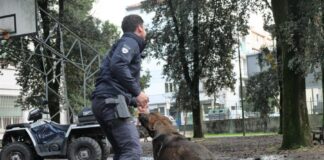 Una lezione speciale con gli agenti di Polizia locale e il cane antidroga Coco La polizia con il cane antidroga Coco