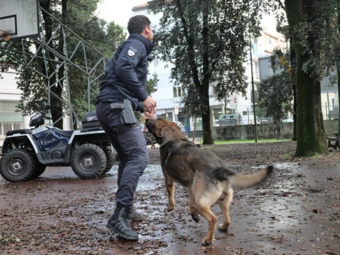 La polizia con il cane antidroga Coco