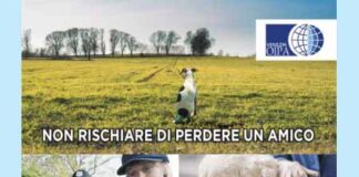 Mirano, le guardie zoofile OIPA controllano gratuitamente i microchip OIPA letture microchip pet a Mirano