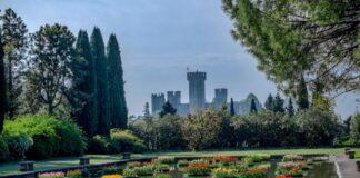 E’ TEMPO DI TULIPANOMANIA TULIPANOMANIA_TGPLUS