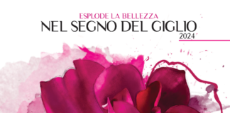 PONTE BAGNATO… PONTE BAGNATO…