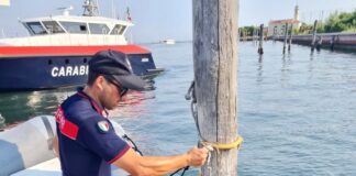 Vongole in acque vietate: multato pescatore Vongole in acque vietate, il sequestro da parte dei Carabinieri