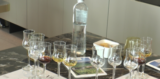 Torna Jesolo Cocktail Experience Jesolo Cocktail Experience