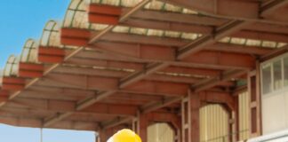 Paola Roma si ricandida sindaco a Ponte di Piave