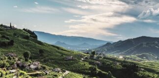 Primavera del Conegliano Valdobbiadene: si parte il 19 aprile, subito 7 mostre