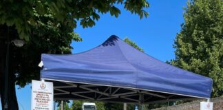 Al via il piano antizanzare 2024