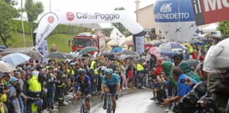 Un muro di emozioni tra le colline colorate di rosa