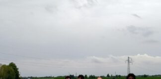 Legambiente sulla perdita di suolo: “Kolbe come Arcade, Povegliano, Roncade etc.”