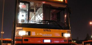 Polemiche per il bus Treviso-Noventa, MOM sospende il servizio