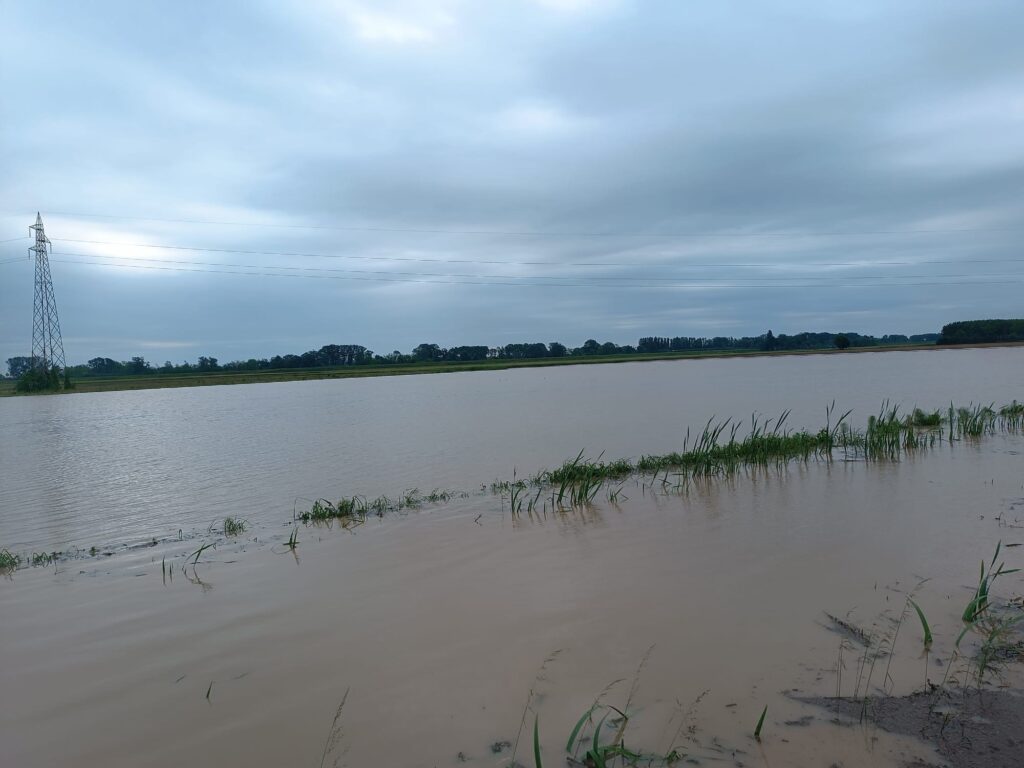 Allagamenti in campagna a San Michele al Tagliamento