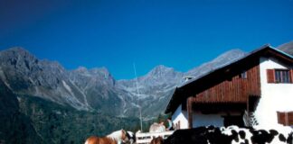 Malghe didattiche sul Grappa, al via il progetto formativo per studenti