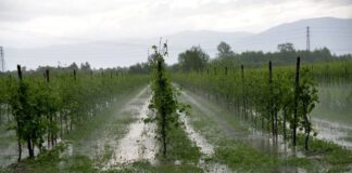 Meteo, allerta idraulica arancione anche su Sile e Basso Piave