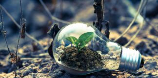 Scopriamo le CER (Comunità energetiche rinnovabili): l’evento a Cessalto