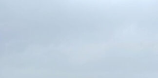 Maltempo, Cia Venezia: “Compromessa la stagione del mais” Campi di mais allagati