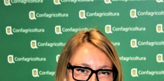 Meloni, in Veneto produzione bassa e scarsi consumi