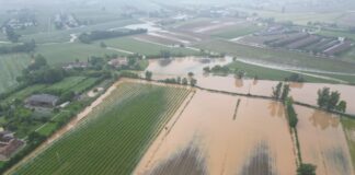 4 milioni di danni ai vigneti della Marca. Condifesa “Assicurarsi oggi è fondamentale”