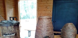 Alla scoperta del mondo delle api al Parco del Livelet