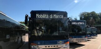 A Jesolo in bus: 10 linee per raggiungere il mare da tutta la Marca trevigiana