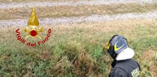 Autostrada A4, autoarticolato perde una ruota che colpisce un’automobile: morta la conducente La ruota che ha colpito l'automobile