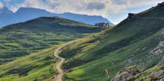 ALBE IN MALGA albeinmalga_notizieplus