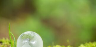 Una firma per agire contro il cambiamento climatico