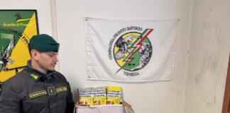 I Baschi verdi sequestrano 140 chili di tabacchi esteri di contrabbando I Baschi Verdi con i tabacchi lavorati esteri di contrabbando