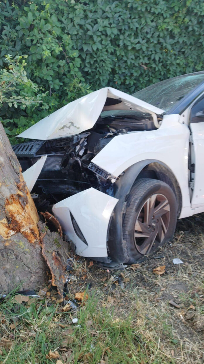 Jesolo, auto contro platano