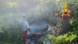 Chioggia, il recupero dell'auto finita nel canale