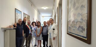 Dolo, una nuova sede comune (e pet-friendly) per i servizi veterinari Dolo, la nuova sede pet-friendly