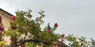 Con Bonomi, Farinelli e spettacoli musicali Poster Festival entra nel clou