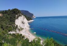 DI CIELO, MARE E GIRASOLI conero_notizieplus
