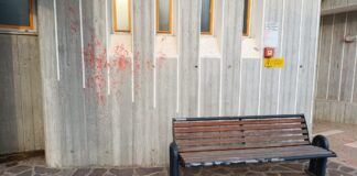 Imbrattata la Primaria di Fanzolo, il Sindaco: “Si scusino e puliscano, o andremo per vie legali”