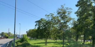 Via Scaltenigo, depositato il progetto della pista ciclabile Via Scaltenigo, il punto dove sorgerà la pista ciclabile